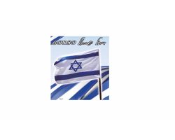 דגל ישראל